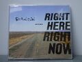 Fatboy Slim: Right Here Right Now CD Single