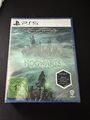 Hogwarts Legacy-Deluxe Edition (Sony PlayStation 5, 2023)