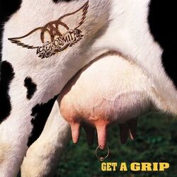 Aerosmith – Get A Grip - Erstausgabe 1993 - Top Zustand