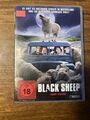 DVD - Black Sheep FSK 18 sehr guter Zustand,