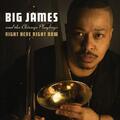 Big James and the Chicago Play Right Here Right Now CD BPCD5131 NEW