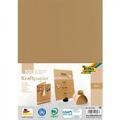 Folia Tonpapier Kraftpapier Braun 120 G/qm 100 Blatt 691/4/98 (4001868103267)