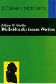 Die Leiden des jungen Werther von Johann W. von Goethe | Buch | Zustand sehr gut