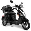 Fachhändler: Rolektro E-Trike 25 V.3 Lithium Schwarz, 25km/h Seniorenmobil 