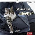 Einfach mal abhängen 2022: Wandkalender mit Monatsk... | Buch | Zustand sehr gut