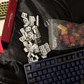 Akko 3087 keyboard+ HyperX Puddinkeycaps (maximalpreis)