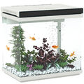 26 Liter Aquarium mit Filter, LED-Beleuchtung, Wasserpumpe, ca. 38 x 26 x 38 cm