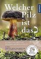 Welcher Pilz ist das?: Extra. Pilze und ihre Baumpa... | Buch | Zustand sehr gut