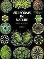 Art Forms in Nature (Picture Archives) von Ernst Heinric... | Buch | Zustand gut