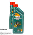 2x CASTROL MOTORÖL MAGNATEC DIESEL 10W-40 B4 MOTORENÖL MOTOR OIL 1L