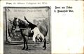 Ak Zirkus E. Blumenfeld Wwe., Pina, die kleinste Voltigeuse der Welt - 10952416