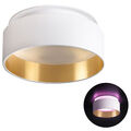 Sudara Design Deckenspot Einbau Strahler weiß gold RGB+ WiFi LED Licht dimmbar