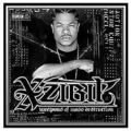 Weapons Of Mass Destruction von Xzibit | CD | Zustand gut