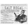 SALT REGAL Tonic (ein klarer Kopf) viktorianische Werbung 1890