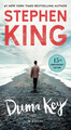 Duma Key | Stephen King | Taschenbuch | Kartoniert / Broschiert | Englisch | 202