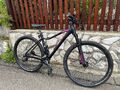 MTB 29 Zoll Mountainbike Bulls Aminga 3 46cm hardtail