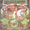 Spyro Gyra - Morning Dance (Vinyl LP - 1979 - UK - Original)