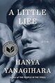 A Little Life: A Novel von Yanagihara, Hanya | Buch | Zustand gut