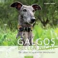 Galgos bellen nicht | Buch | 9783886278602