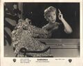 "Gardenia" I USA1953 I Fritz Lang, Anne Baxter, Film Noir I EA-Aushangfoto