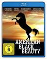 American Black Beauty  [Blu-Ray]  Neuware