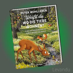 WEISST DU, WO DIE TIERE WOHNEN? | PETER WOHLLEBEN | Reise durch Wiese und Wald