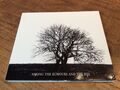 Mr. David Viner “Among The Rumours And The Rye” cd excellent [different boy hid]