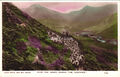 Glen Nevis Ben Nevis O'er The Moor Amang The Heather RPPC Postkarte D260