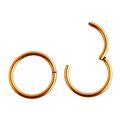 CLICKER SEPTUM PIERCING HELIX RING SCHARNIER OHR SEGMENT TRAGUS LIPPE OHRRING