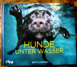 Seth Casteel Hunde unter Wasser riva Foto Bildband # dog schwimmen