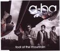 A-ha Foot of the mountain (2009, 2 versions)  [Maxi-CD]