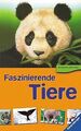 Entdecke die Welt: Faszinierende Tiere von not specified | Buch | Zustand gut