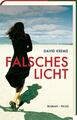 Falsches Licht: Roman, David Krems