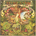 Spyro Gyra - Morning Dance (Vinyl LP - 1979 - US - Original)