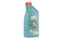 CASTROL Magnatec 10W-40 1 Liter Motoröl A3/B4 Teilsynthetisch MB 229.3, Fiat