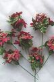 Weihnachtsstern Poinsettia Sträusschen künstlich 40 Stück NEU