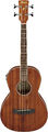 IBANEZ PNB14E-OPN Acoustic Bass