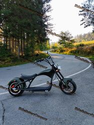 Elektroroller E-Scooter Coco 45kmh Straßenzulassung Chopper 2000W 60v 200kg 