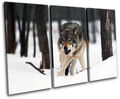 White Wolf Wild Animals TREBLE Leinwand Wand Kunst Bild drucken