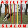 !AGILITY-SLALOM-SET ROT/GELB FLEXIBLE,RUNDE STANGEN! ORIGINAL WUZZMANN