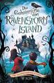 Die Geheimnisse von Ravenstorm Island 01 - Die verschwundenen Kinder 