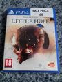 The Dark Pictures Anthology: Little Hope (PS4, 2020)