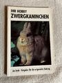 Ihr Hobby ' Zwergkaninchen' | 📕 520