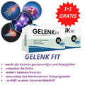 2X30 GELENK FIT PILLE_Gelenkprobleme Arthrose -100%BIO_CHEMIE_FREI HOCHDOSIERT