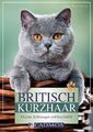 Britisch Kurzhaar