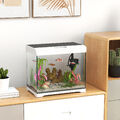 PawHut Aquarium mit LED-Beleuchtung, Filtersystem, 17L Fischtank mit Luftpumpe