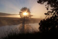 VLIES Fototapete-MYSTIC RIVER-(860V)-See Fluss Teich Natur Bäume Wald Landschaft