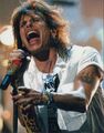 STEVEN TYLER / AEROSMITH signiertes Foto - Musiker/Sänger - Vordruck