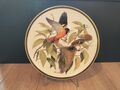 Songbirds Of The World Sammelteller Franklin Porcelain Verschiedene Motive 