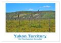 Yukon Territory - Der Nordwesten Kanadas (Wandkalender 2025 DIN A2 quer), CALVEN